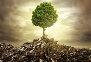 Waste to Energy